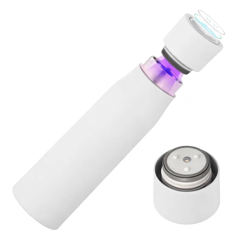 2025 New Digital Smart Water Bottle Ultraviolet Self-Cleaning Portable Vacuum Cup Touch Screen Thermos Cup With Temperature